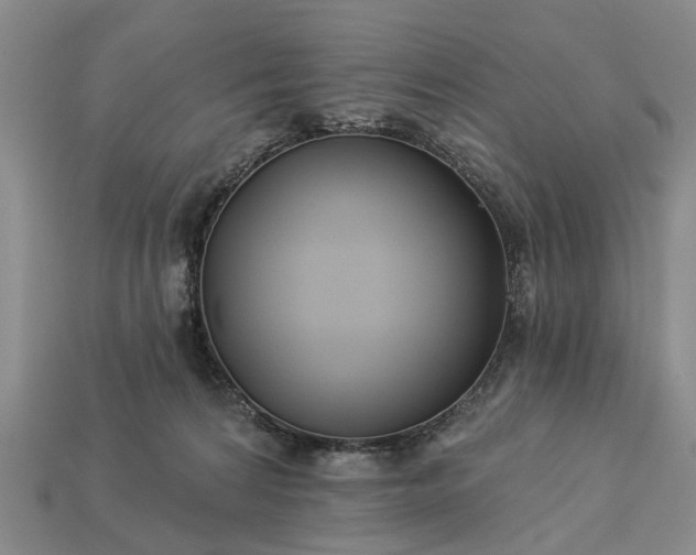 X0000113270224200909241549