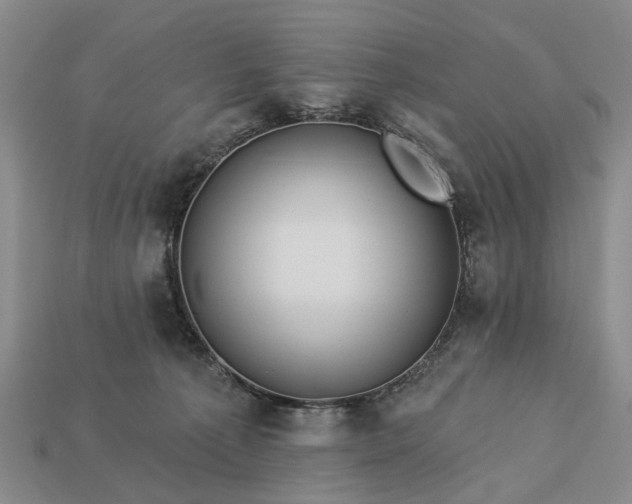 X0000113270225200909241549