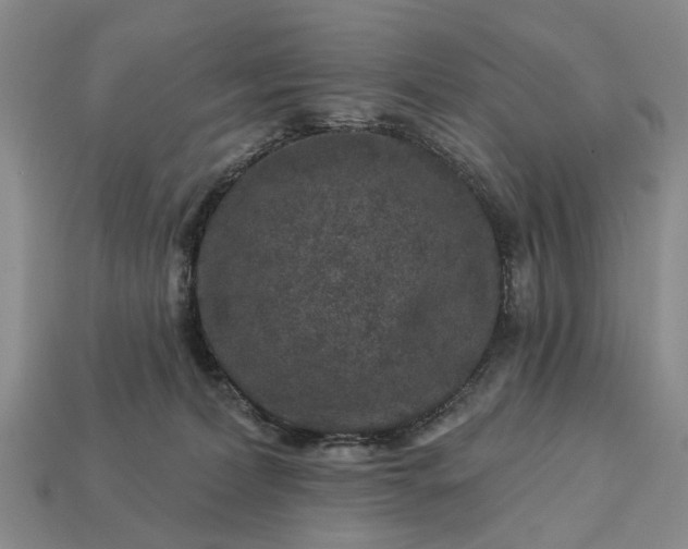 X0000113270228200909241549