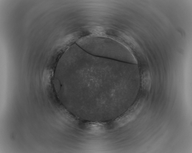 X0000113270229200909241549