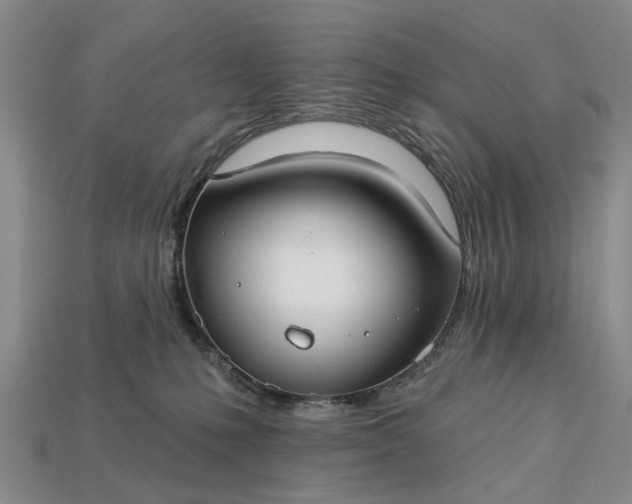 X0000113270231200909241549