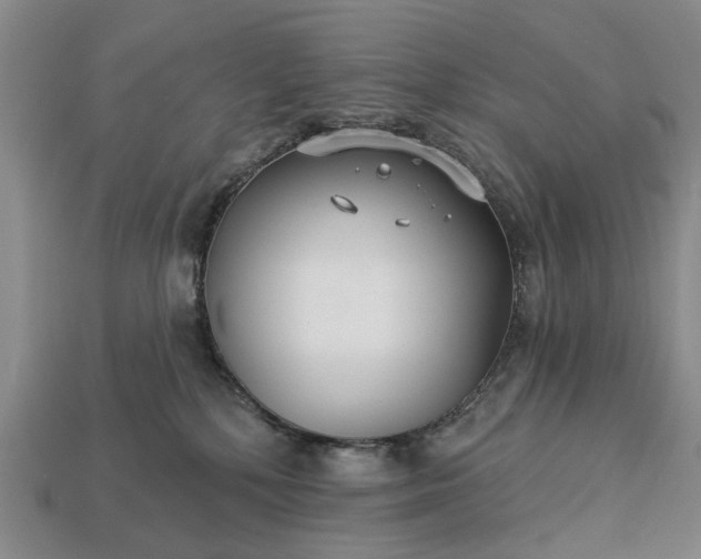 X0000113270232200909241549