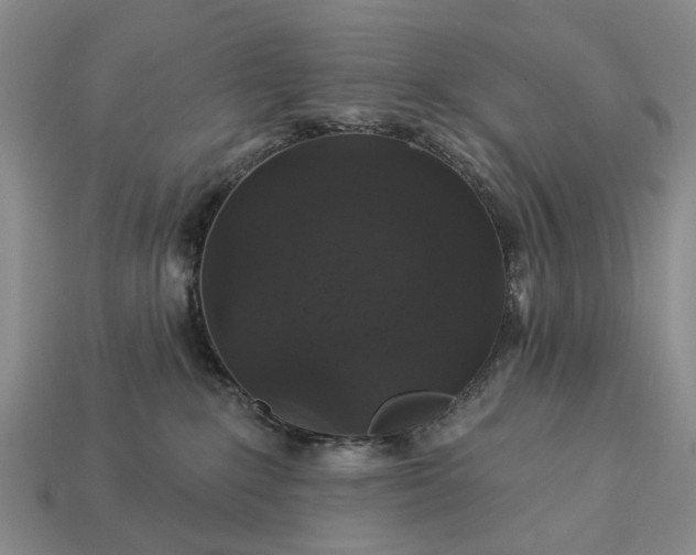 X0000113270235200909241549