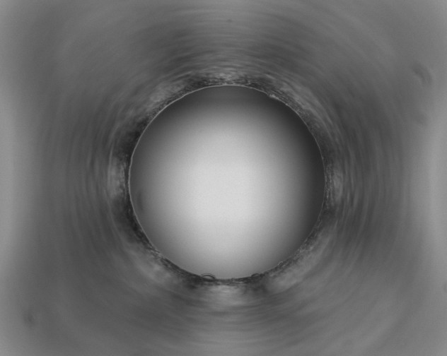 X0000113270236200909241549