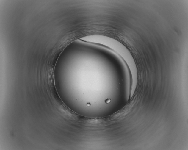 X0000113270237200909241549