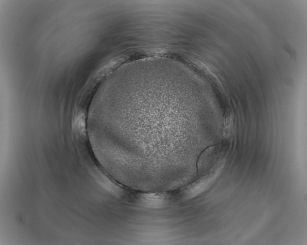 X0000113270238200909241549