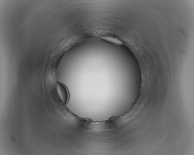 X0000113270240200909241549