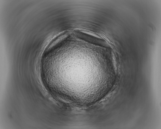 X0000113270241200909241549