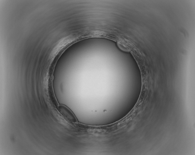 X0000113270242200909241549