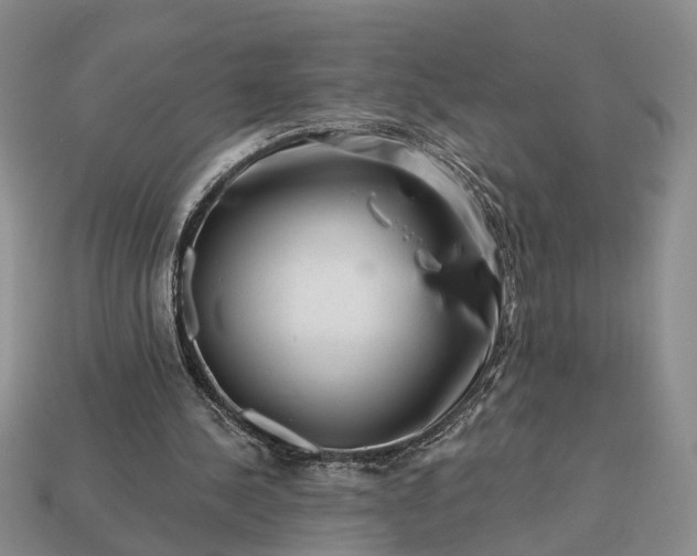 X0000113270244200909241549