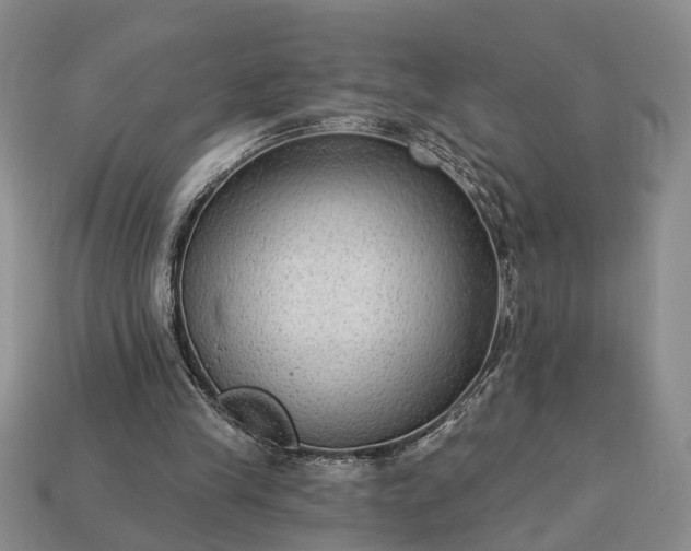 X0000113270245200909241549