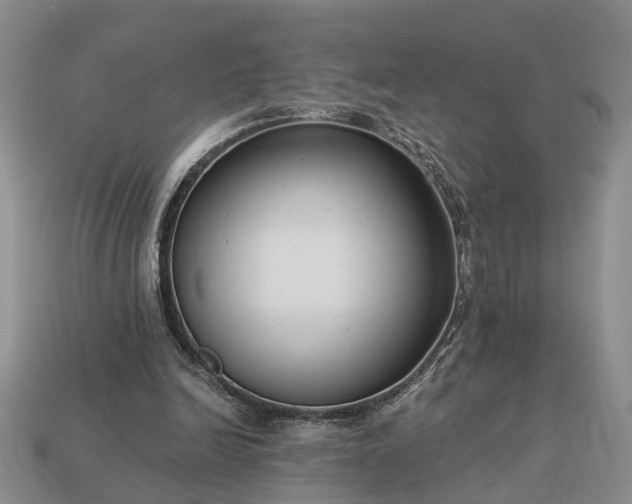 X0000113270246200909241549