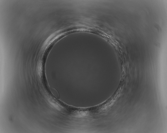 X0000113270247200909241549