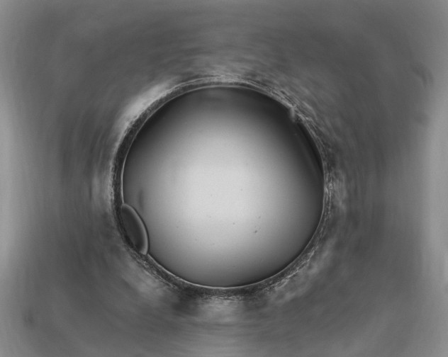 X0000113270248200909241549