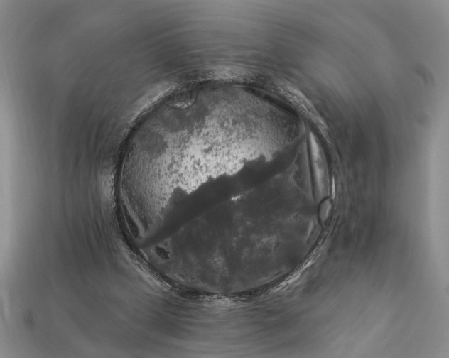 X0000113270249200909241549