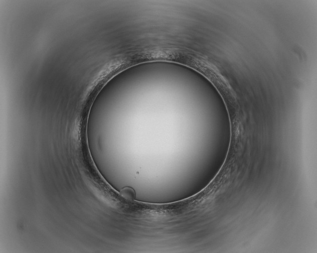 X0000113270250200909241549