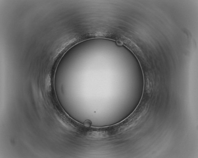 X0000113270251200909241549