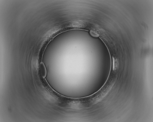 X0000113270252200909241549