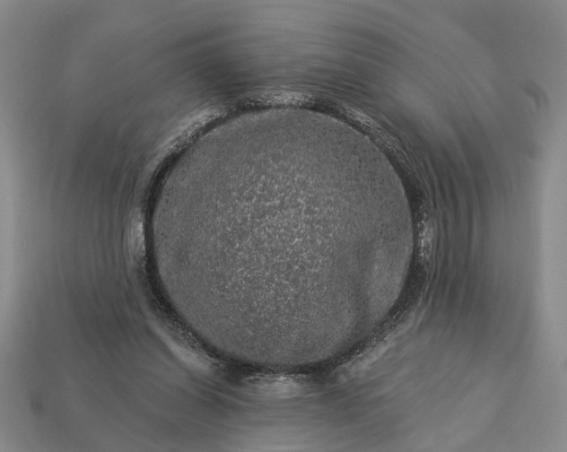 X0000113270254200909241549