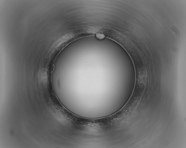 X0000113270256200909241549