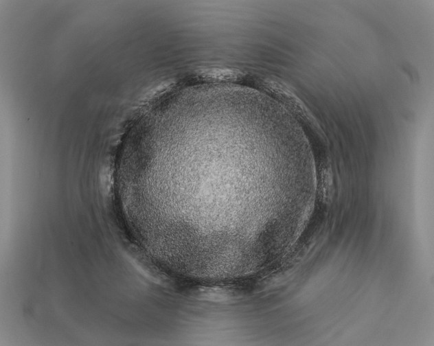 X0000113270259200909241549