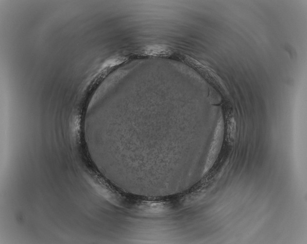 X0000113270260200909241549