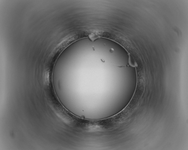 X0000113270262200909241549