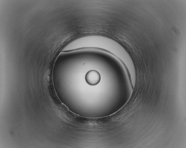 X0000113270264200909241549