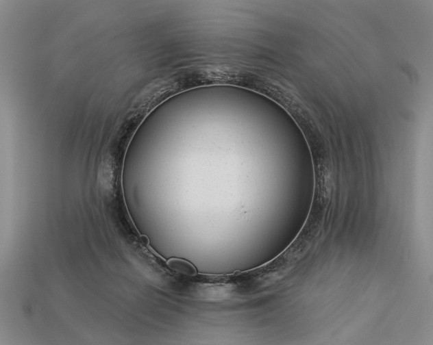 X0000113270266200909241549