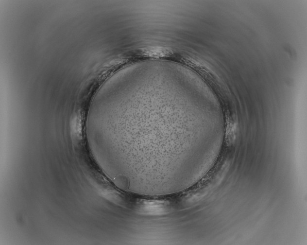 X0000113270268200909241549