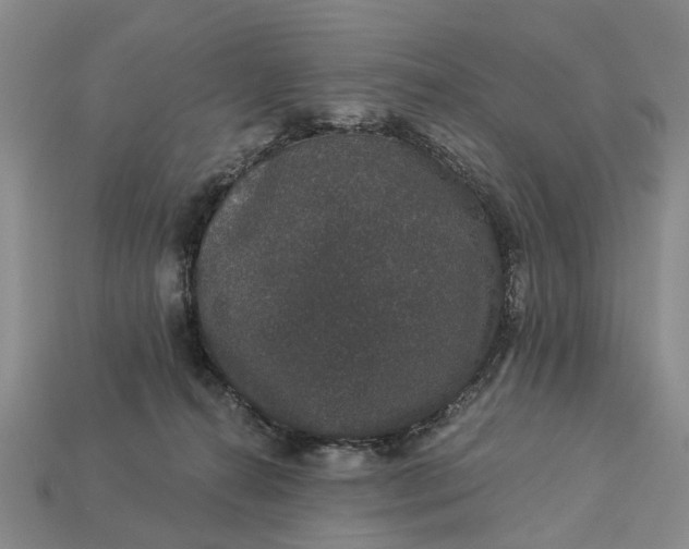 X0000113270272200909241549