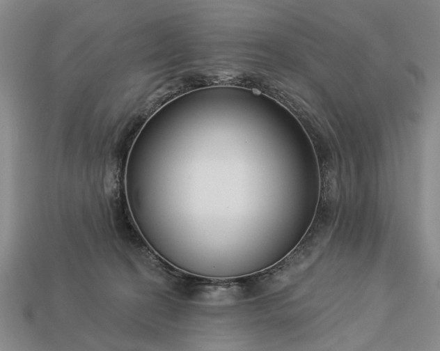 X0000113270274200909241549