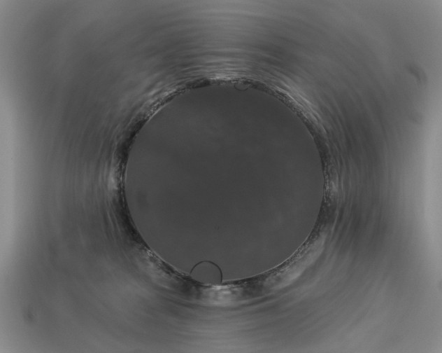 X0000113270277200909241549