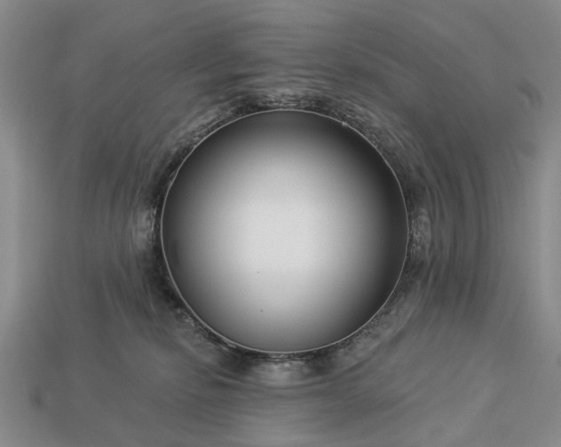 X0000113270278200909241549