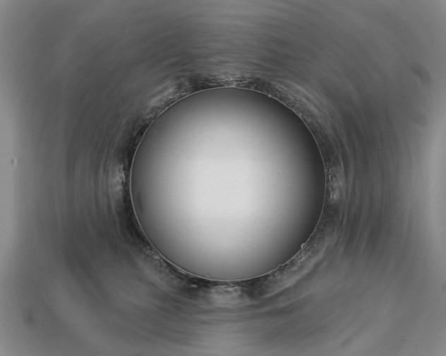 X0000113270279200909241549