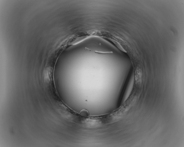 X0000113270280200909241549