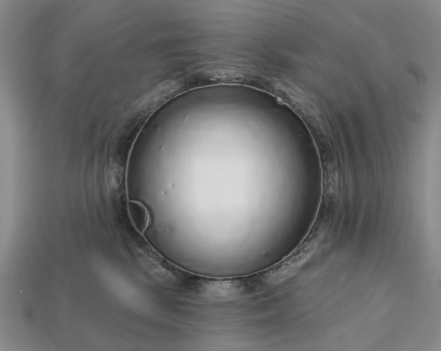 X0000113270281200909241549