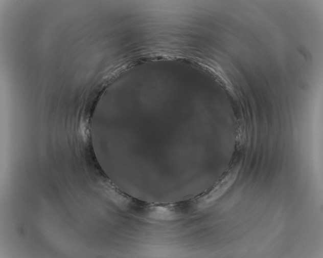 X0000113270285200909241549