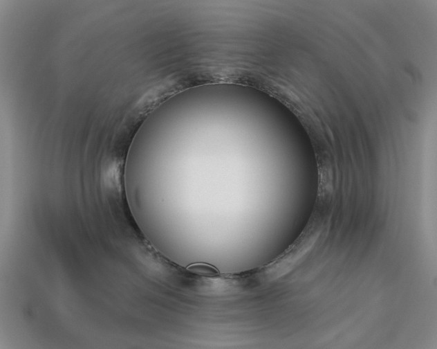 X0000113270286200909241549