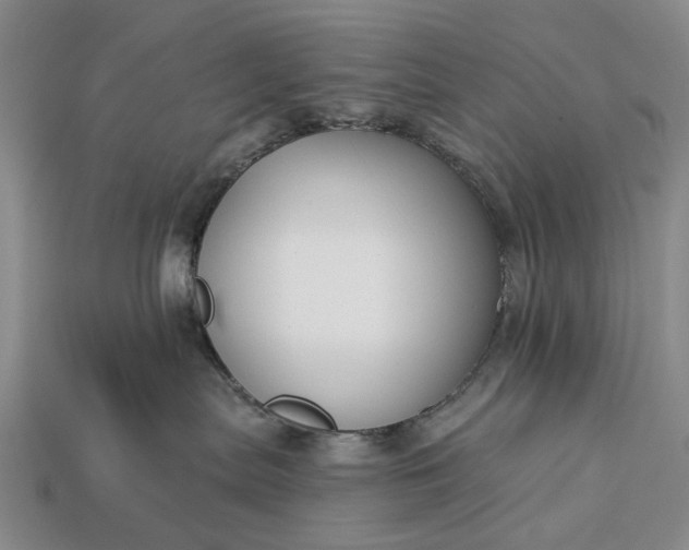 X0000113270287200909241549