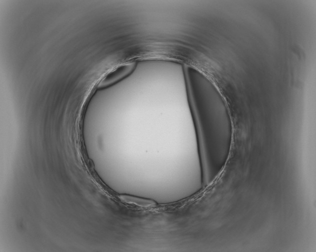 X0000113270289200909241549