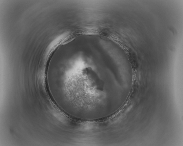 X0000113270293200909241549