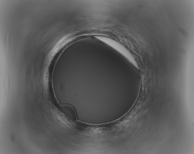 X0000113270295200909241549