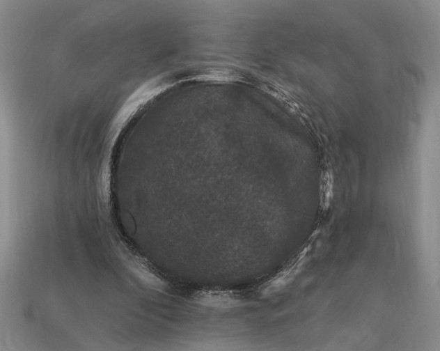 X0000113270296200909241549