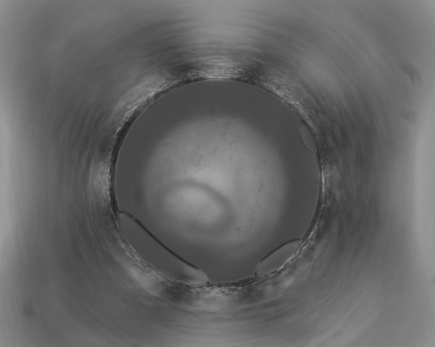 X0000113270297200909241549