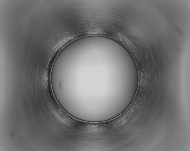 X0000113270298200909241548