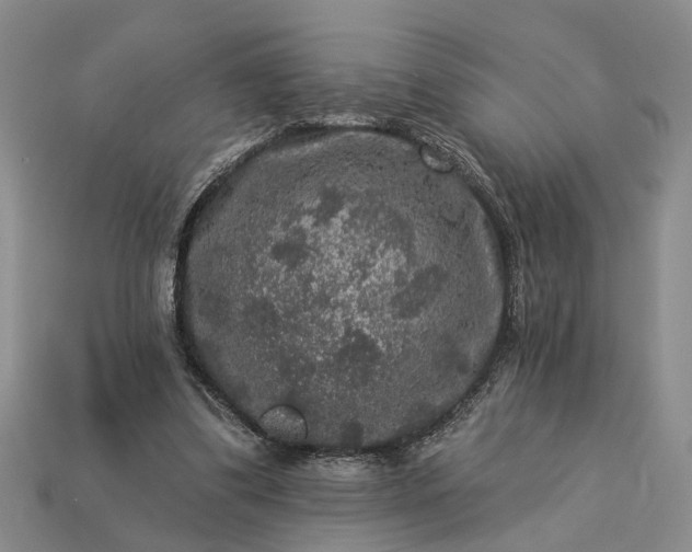 X0000113270299200909241548