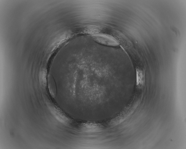 X0000113270300200909241548