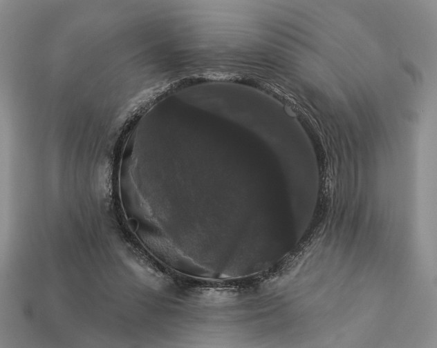 X0000113270303200909241548