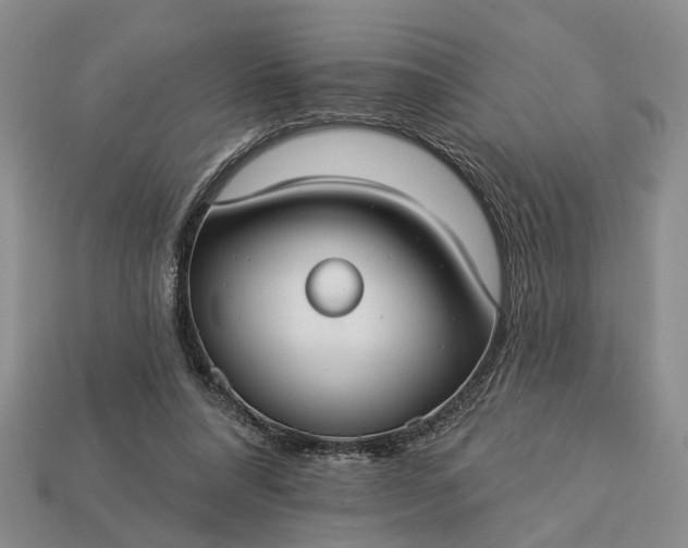 X0000113270304200909241548